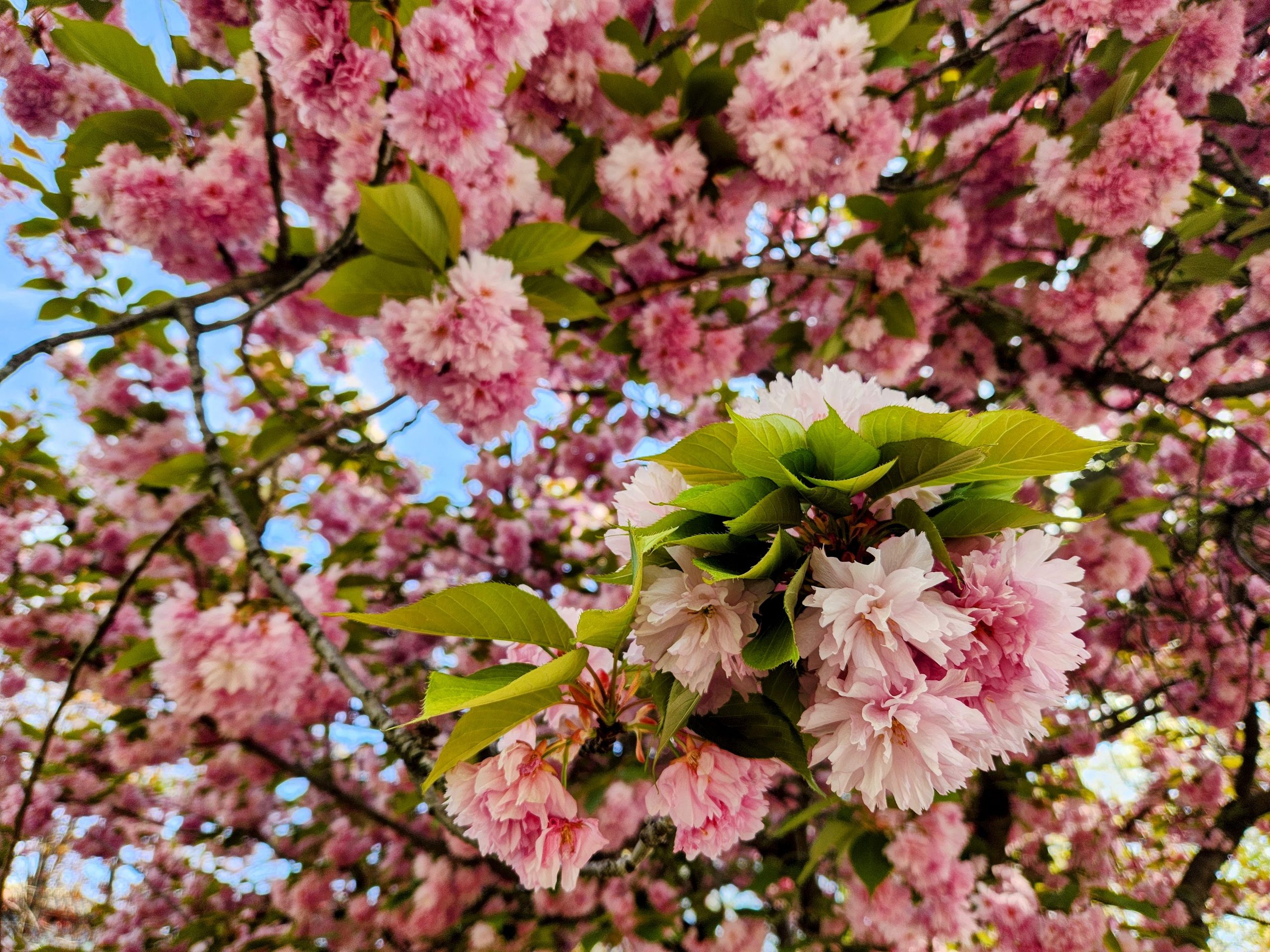 Lens of Liberation: How Photography Set Me Free