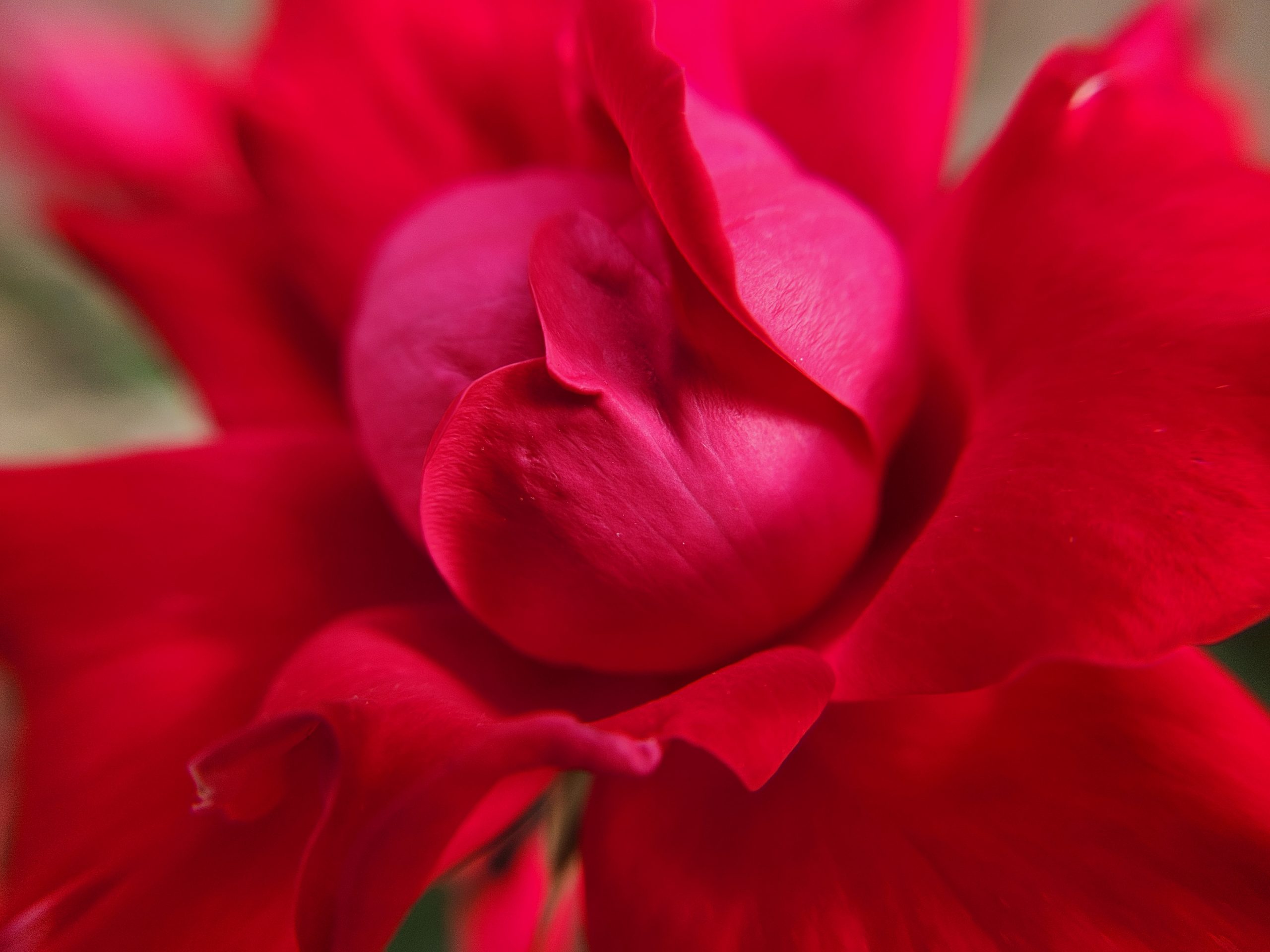 Laid Off & Lost—How Photography Led Me to a Life I Love